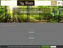Tablet Screenshot of hoteldelaforet-senonches.com